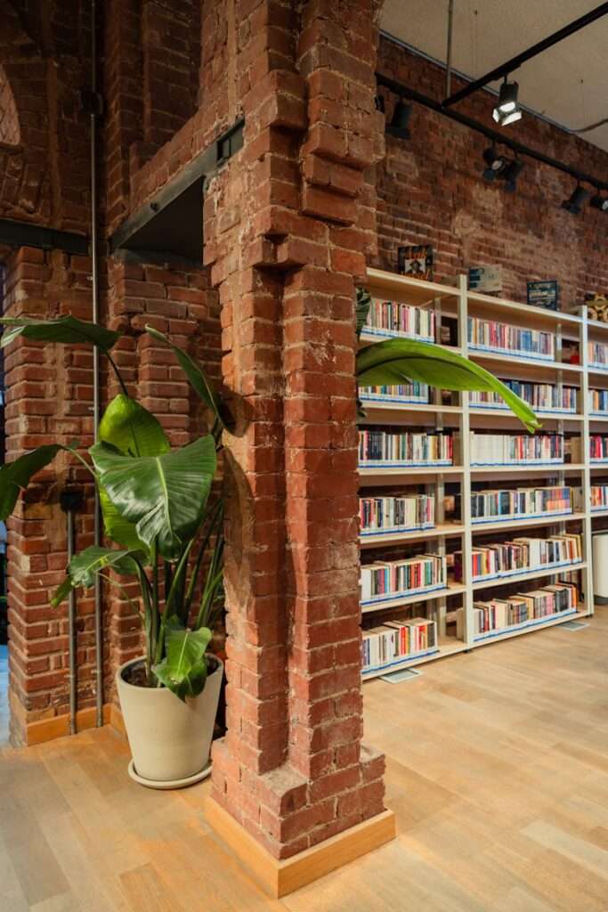 Inviting library space with brick walls, bookshelves, and a large plant.